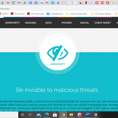 Screenshot of A DIY Guide to Feminist Cybersecurity webpage - a white block above a teal block with an image of an eye with a slash through it and the words "Be invisible to malicious threats"